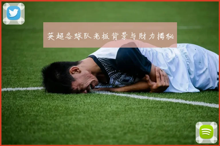 英超各球队老板背景与财力揭秘